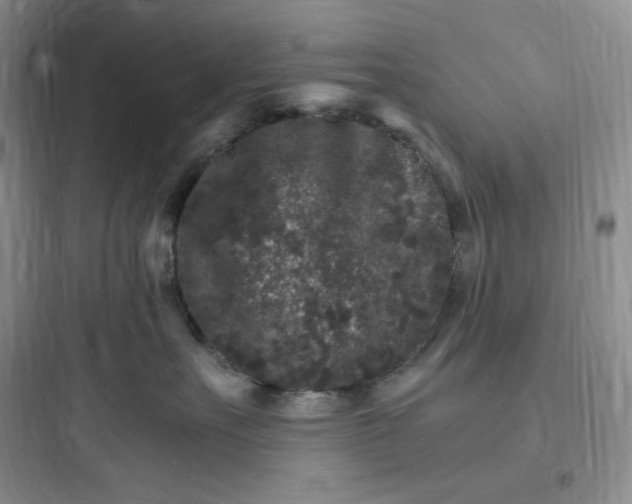 X0000097670527200803211945