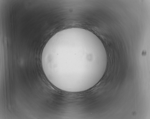 X0000097670528200803211945