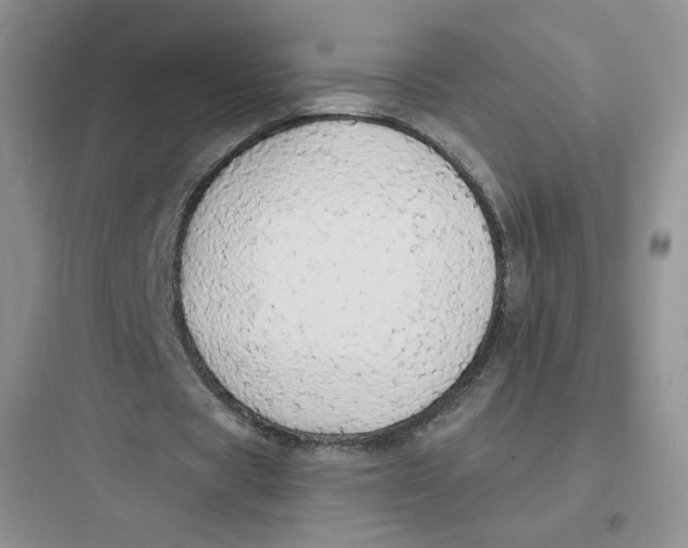 X0000097670529200803211945