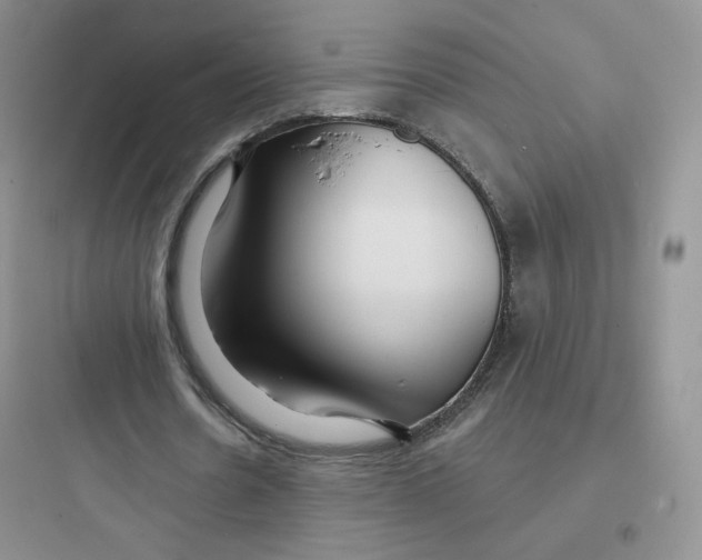 X0000097670530200803211945