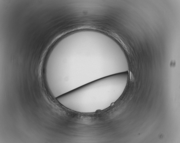 X0000097670531200803211945