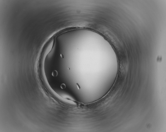 X0000097670532200803211945