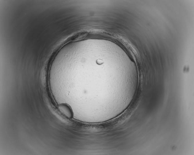 X0000097670533200803211945