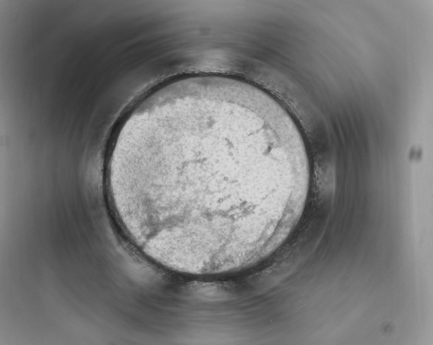 X0000097670534200803211945