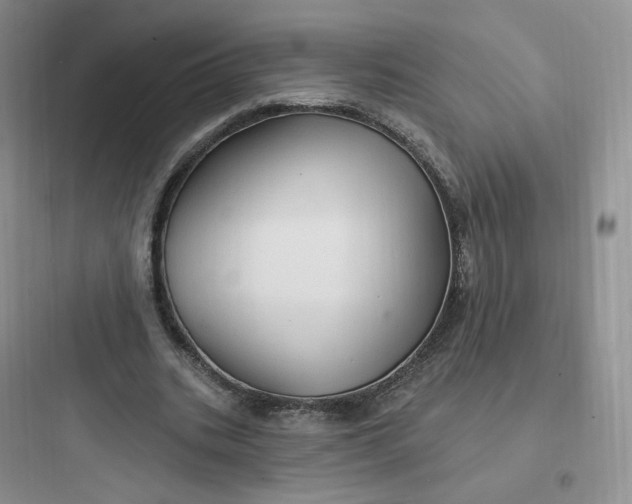 X0000097670535200803211945