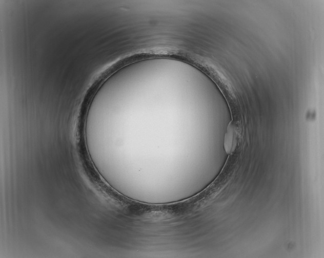 X0000097670536200803211945