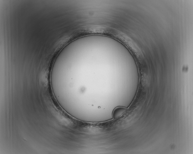 X0000097670537200803211945