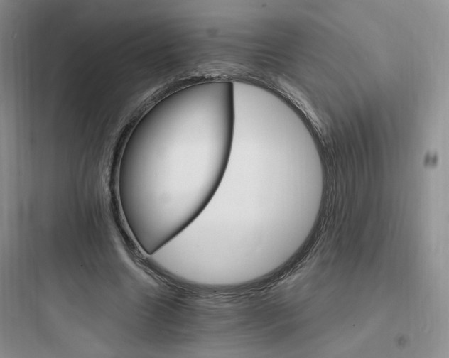 X0000097670538200803211945