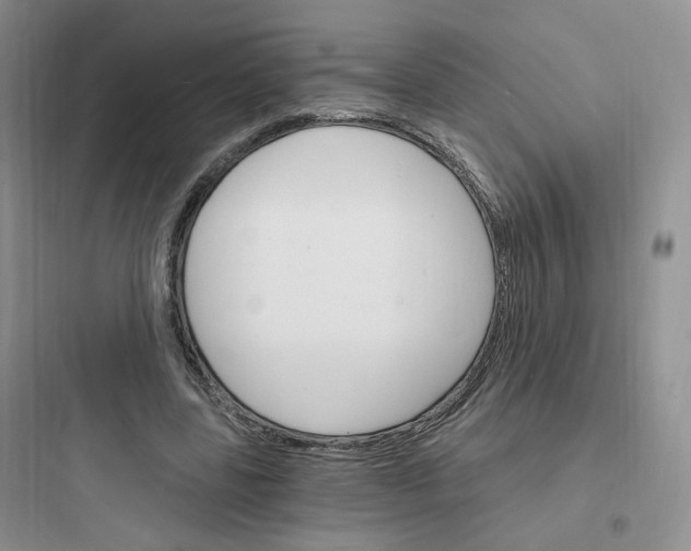 X0000097670539200803211945