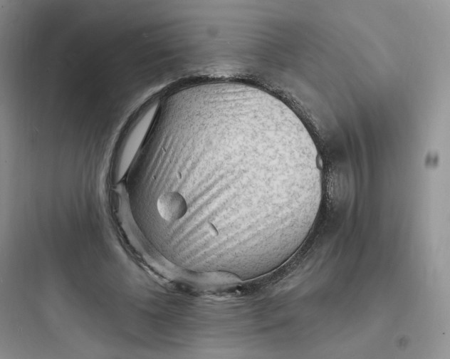 X0000097670540200803211945