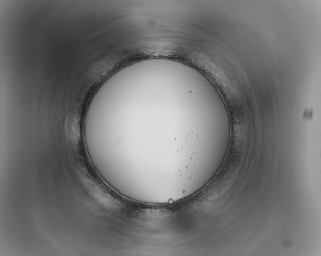 X0000097670541200803211945