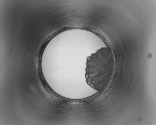 X0000097670542200803211945