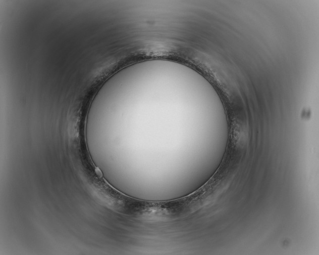 X0000097670543200803211945