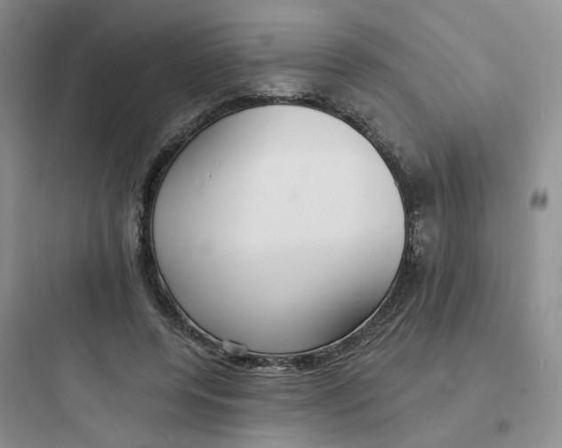 X0000097670544200803211945