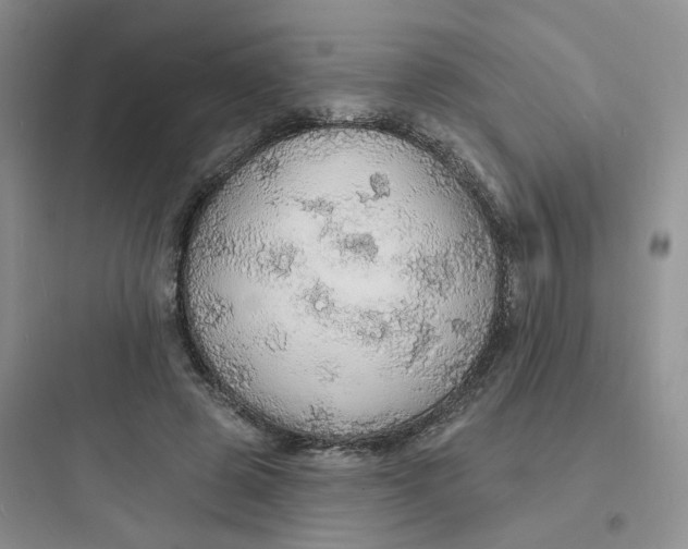 X0000097670545200803211945