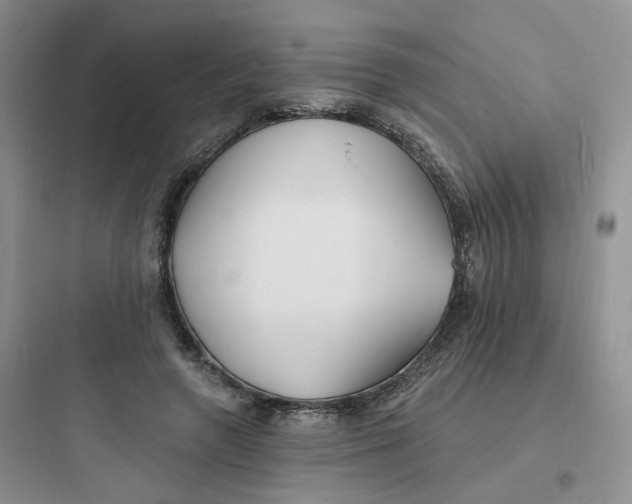 X0000097670546200803211945