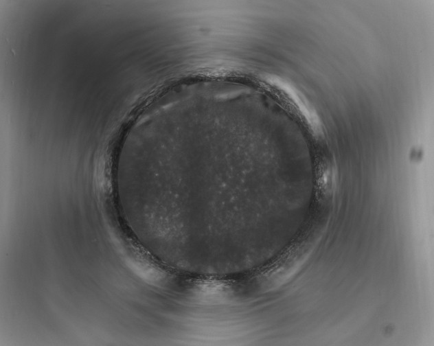 X0000097670547200803211945