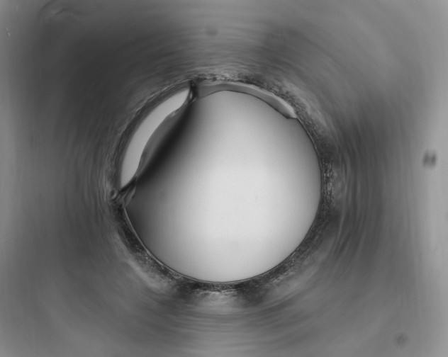 X0000097670548200803211945