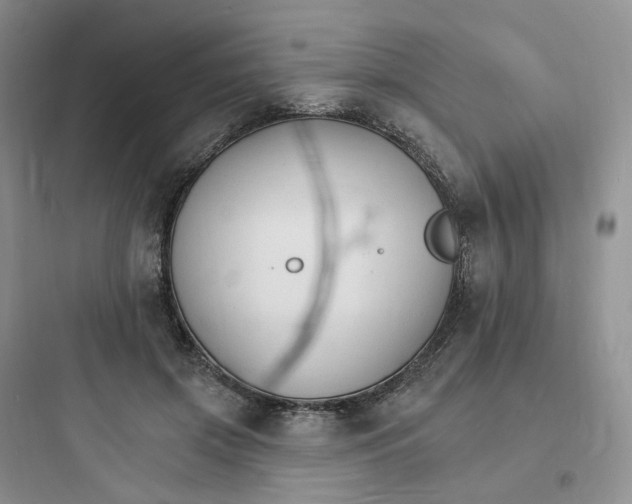 X0000097670549200803211945