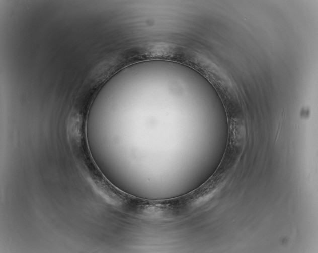 X0000097670550200803211945