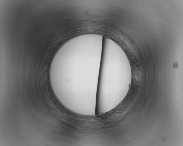 X0000097670551200803211945