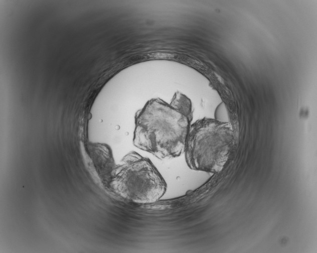 X0000097670553200803211945