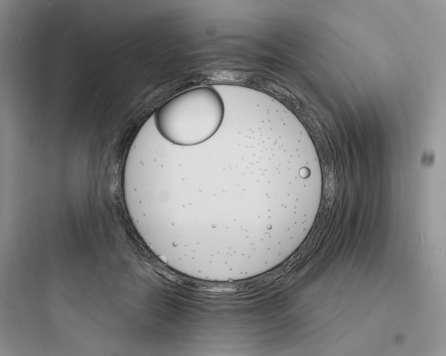 X0000097670554200803211945