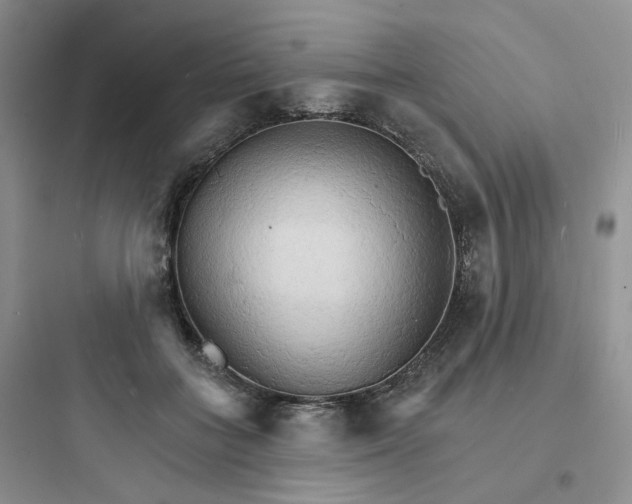 X0000097670555200803211945