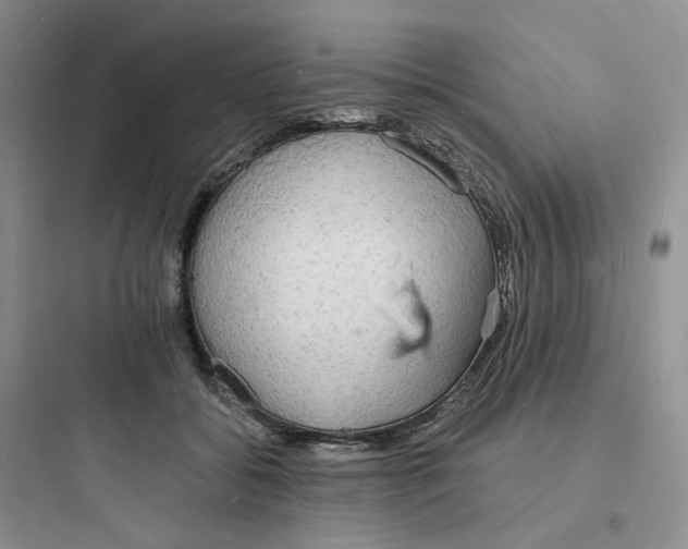 X0000097670556200803211945