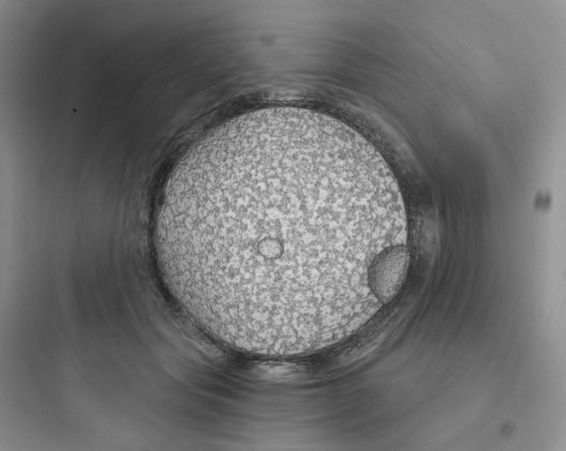 X0000097670557200803211945