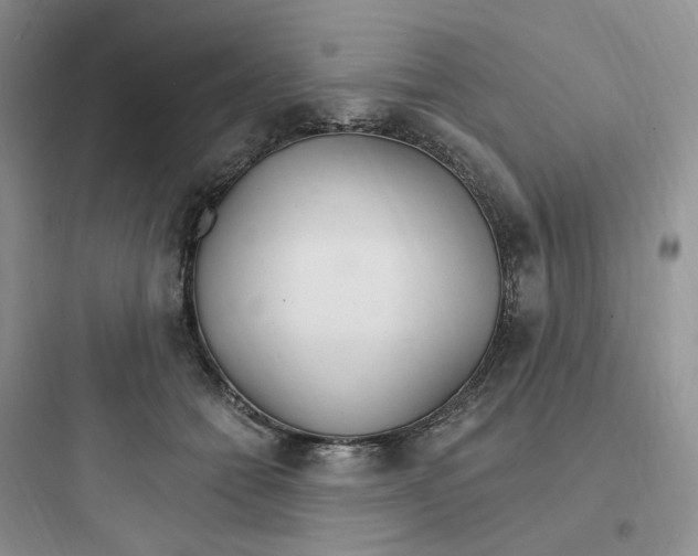 X0000097670558200803211945