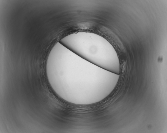 X0000097670559200803211945