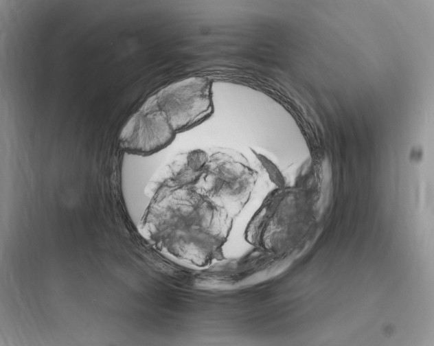 X0000097670561200803211945