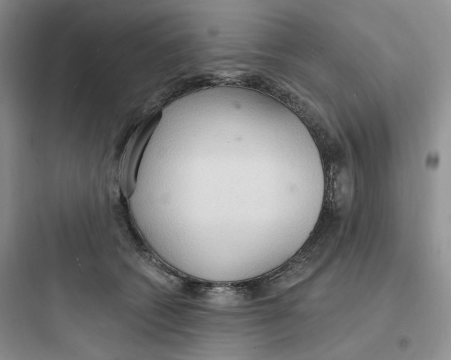 X0000097670562200803211945