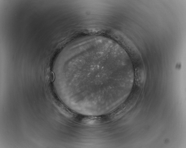 X0000097670563200803211945