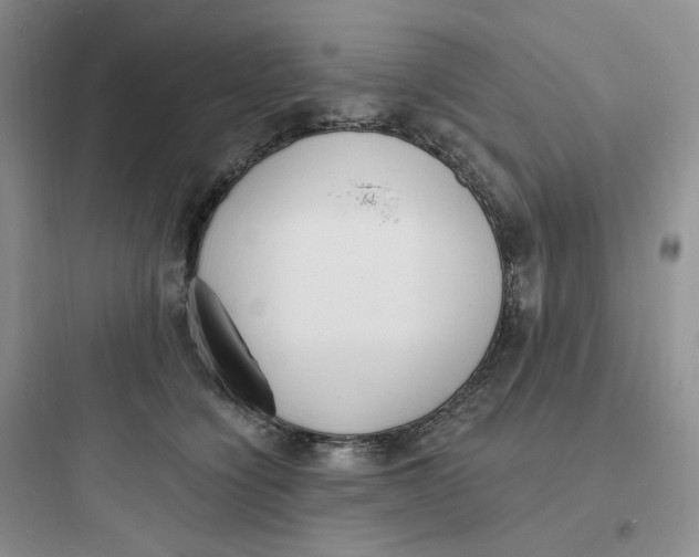 X0000097670564200803211945