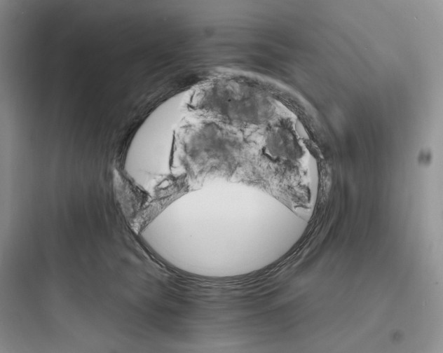 X0000097670565200803211945