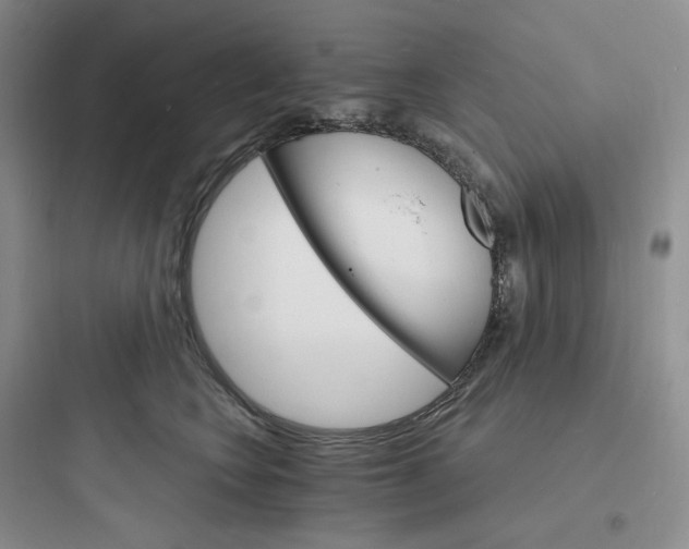 X0000097670566200803211945