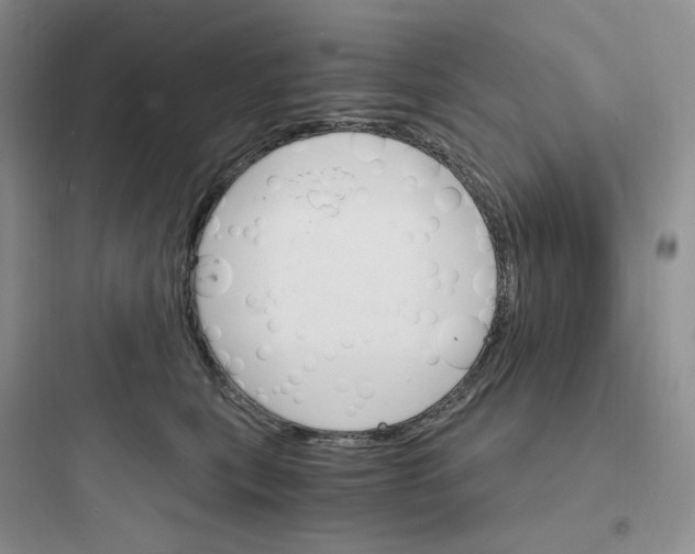 X0000097670567200803211945