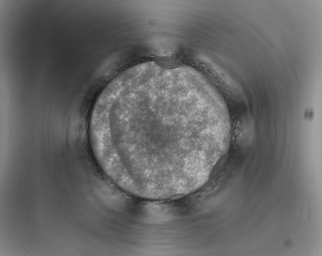 X0000097670568200803211945