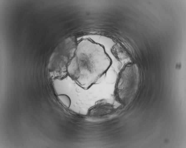 X0000097670569200803211945