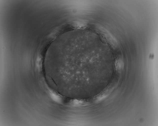 X0000097670570200803211945