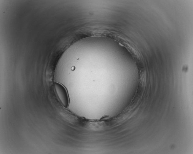 X0000097670571200803211945