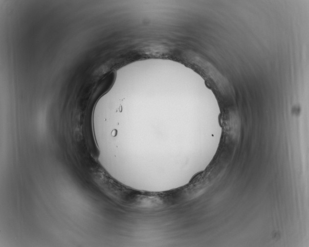 X0000097670572200803211945