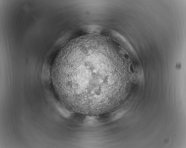 X0000097670573200803211945