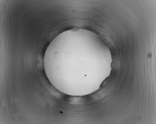 X0000097670575200803211945