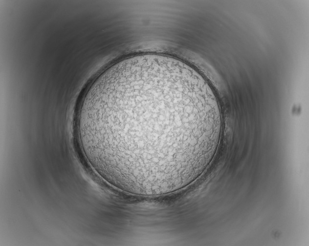 X0000097670578200803211945