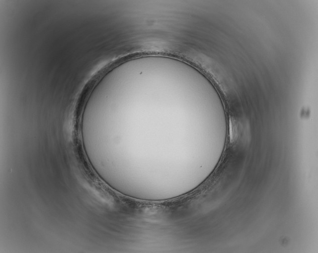 X0000097670579200803211945