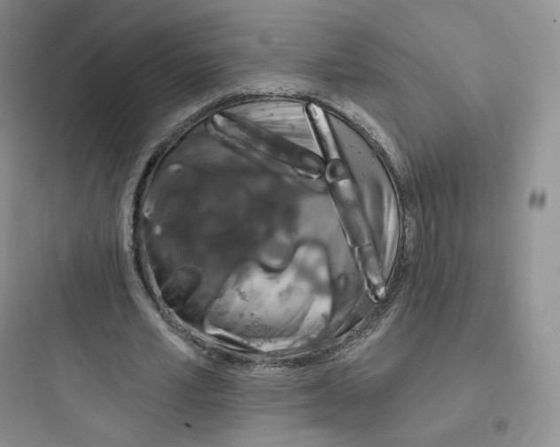 X0000097670581200803211945