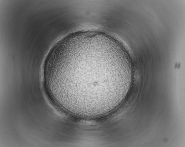 X0000097670582200803211945